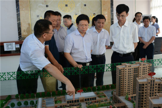 龙岩市委书记林国耀到武平调研特色小城镇建设