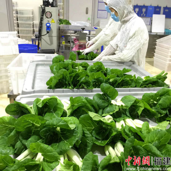 2017年中国科学院植物研究所植物工厂研发中心招聘公告