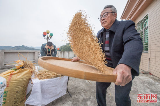 多年培育的水稻品种东联早一号入选2018年福