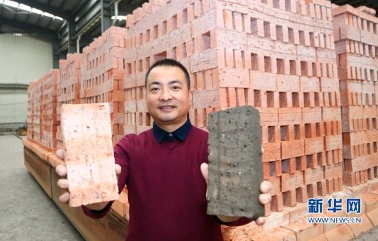 福建昌明建材有限公司，一名员工展示用建筑垃圾烧制的标砖（左）和砖坯（右）（1月9日摄）。新华网 肖和勇 摄