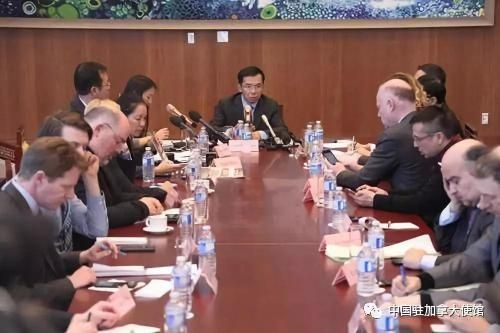 1月17日，卢沙野大使在中国驻加拿大使馆接受中外媒体集体采访。(图片来源：中国驻加拿大使馆微信公众号)