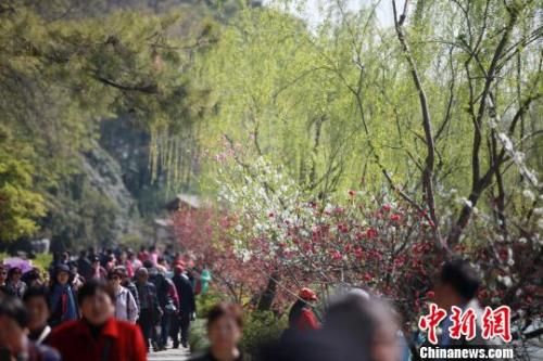 4月1日，大批游客在江苏扬州瘦西湖踏青游玩，亲近自然。 孟德龙 摄
