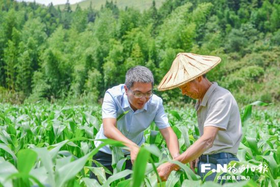 陈敏球（左）与种植户查看玉米生长状况。记者 石美祥 摄