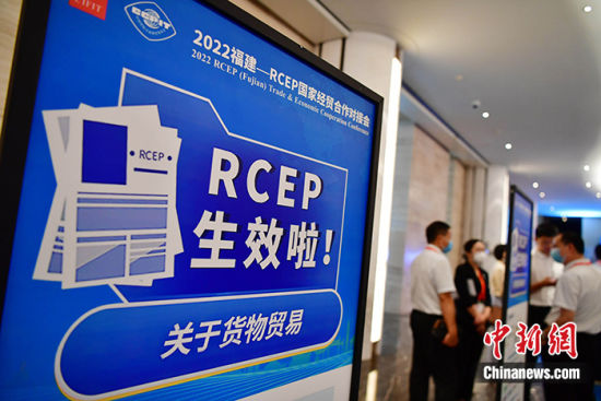 9月7日，2022福建—RCEP国家经贸合作对接会在厦门举办。图为参加对接会的嘉宾在会议间隙交流。 中新社记者 张斌 摄