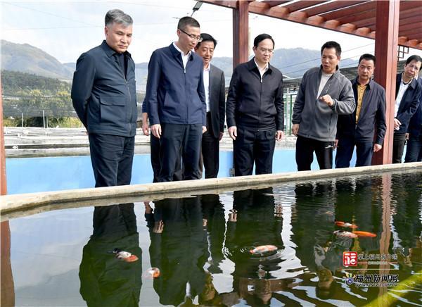 林宝金听取荆溪镇关中村观赏鱼养殖场经营情况。
