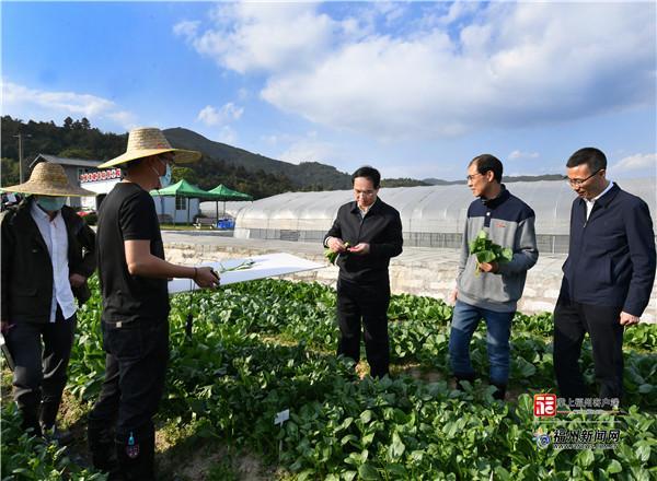 林宝金察看荆溪镇关西村农业蔬菜科研基地。