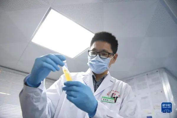 陳柏叡在福州市皮膚病防治院實驗室查看菌種培養情況。