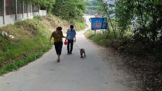 福建新闻网·野生猕猴受伤 尤溪警民联手救助