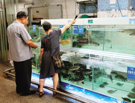 福建新闻网·水产品批发市场淡水鱼供应正常 