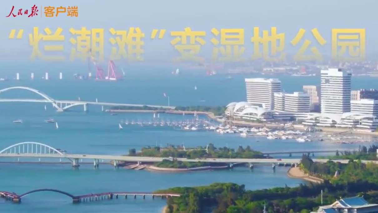 中新网福建-福建新闻,华侨,闽商,海峡两岸-中新社福建